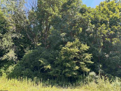 8 Alpenglow Ridge Drive Dryfork WV 26260