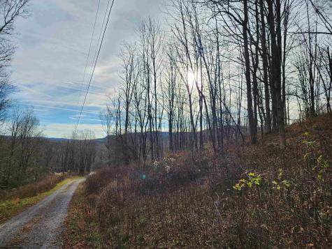 4 High Mountain Road Harman WV 26270