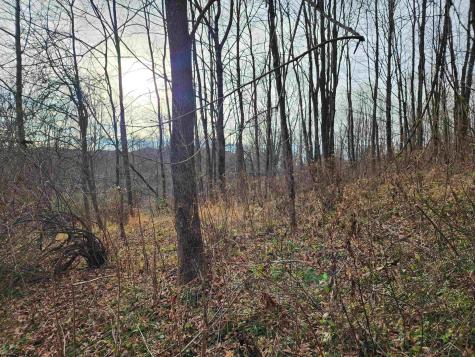 4 High Mountain Road Harman WV 26270