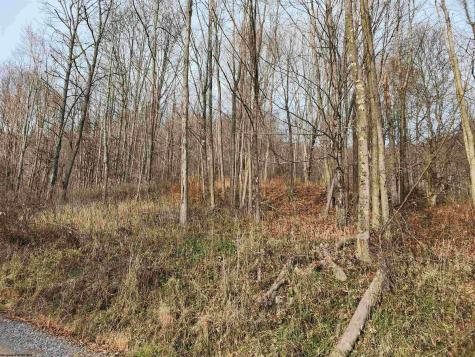 4 High Mountain Road Harman WV 26270