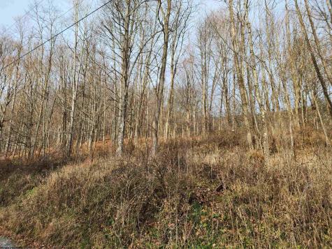 4 High Mountain Road Harman WV 26270