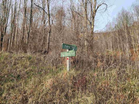 4 High Mountain Road Harman WV 26270