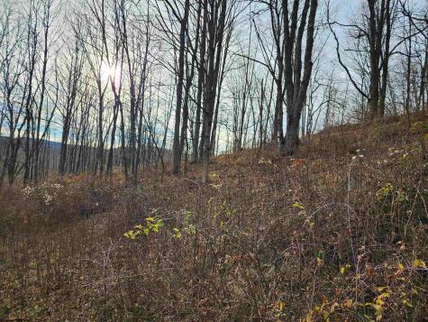 4 High Mountain Road Harman WV 26270