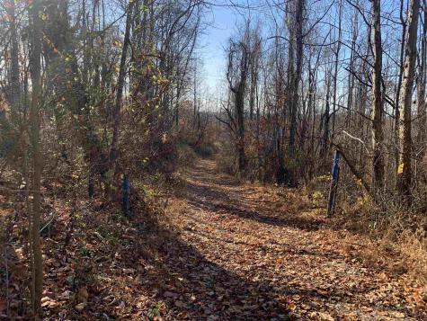 0 Narrows Road Philippi WV 26416