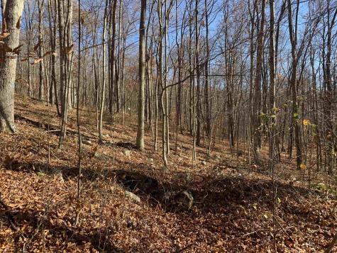 0 Narrows Road Philippi WV 26416