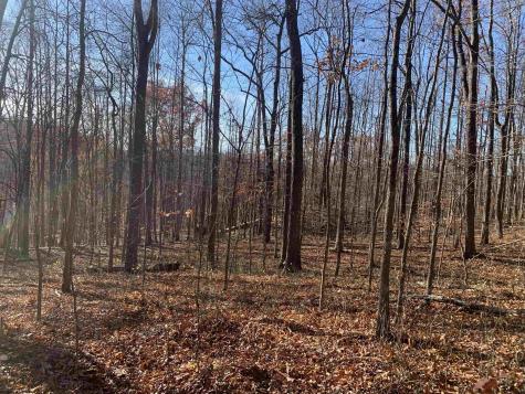 0 Narrows Road Philippi WV 26416