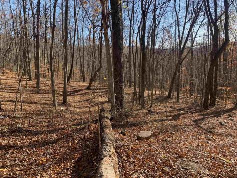 0 Narrows Road Philippi WV 26416