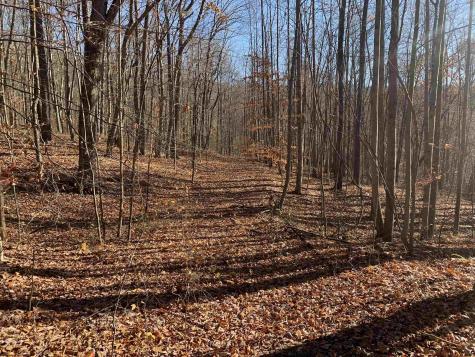 0 Narrows Road Philippi WV 26416