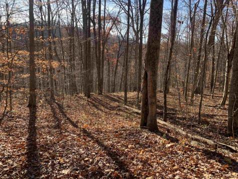 0 Narrows Road Philippi WV 26416