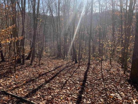 0 Narrows Road Philippi WV 26416