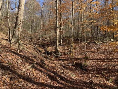 0 Narrows Road Philippi WV 26416