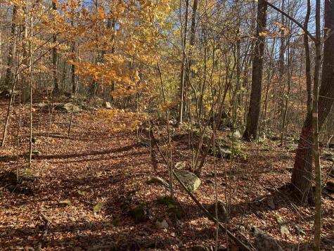 0 Narrows Road Philippi WV 26416