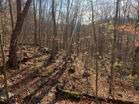 0 Narrows Road Philippi WV 26416