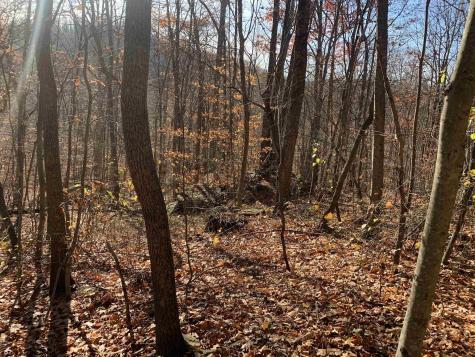 0 Narrows Road Philippi WV 26416
