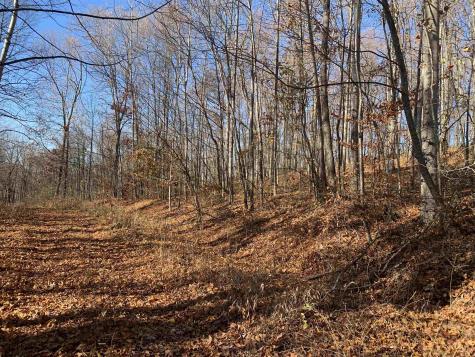0 Narrows Road Philippi WV 26416