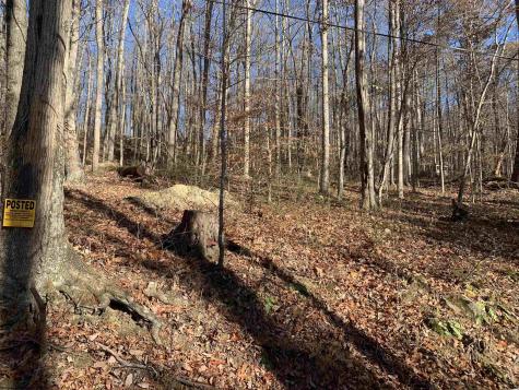 0 Narrows Road Philippi WV 26416