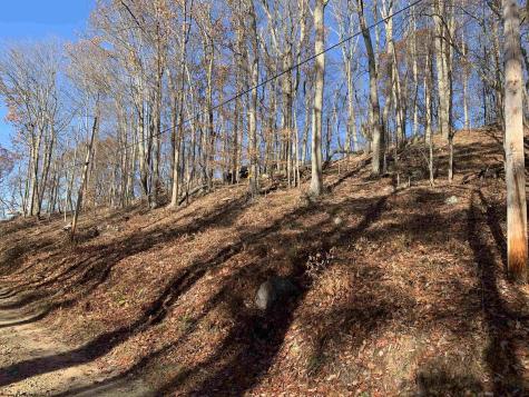 0 Narrows Road Philippi WV 26416