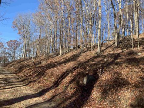0 Narrows Road Philippi WV 26416