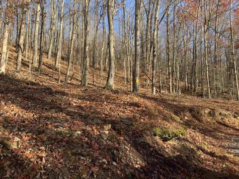 0 Narrows Road Philippi WV 26416
