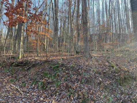 0 Narrows Road Philippi WV 26416