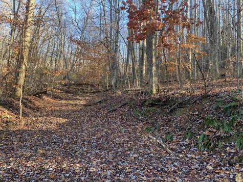 0 Narrows Road Philippi WV 26416