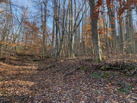 0 Narrows Road Philippi WV 26416