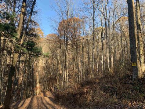 0 Narrows Road Philippi WV 26416