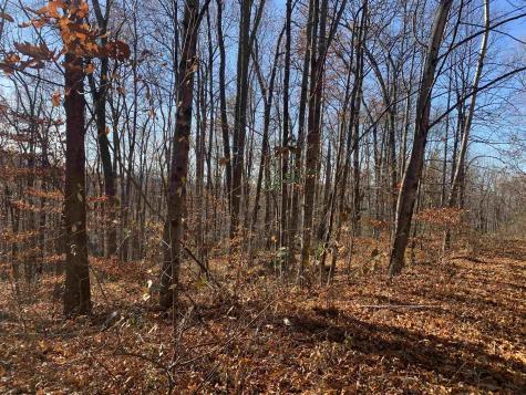 0 Narrows Road Philippi WV 26416