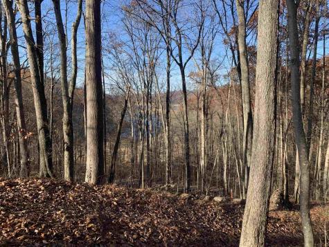 0 Narrows Road Philippi WV 26416