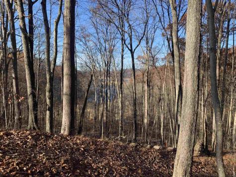 0 Narrows Road Philippi WV 26416