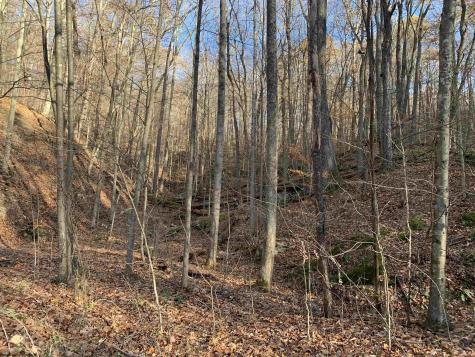 0 Narrows Road Philippi WV 26416