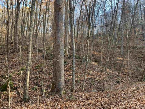0 Narrows Road Philippi WV 26416