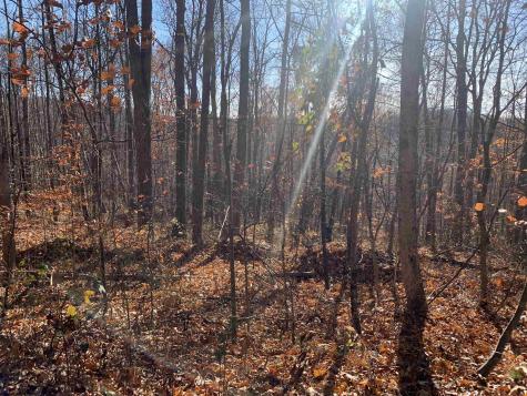 0 Narrows Road Philippi WV 26416