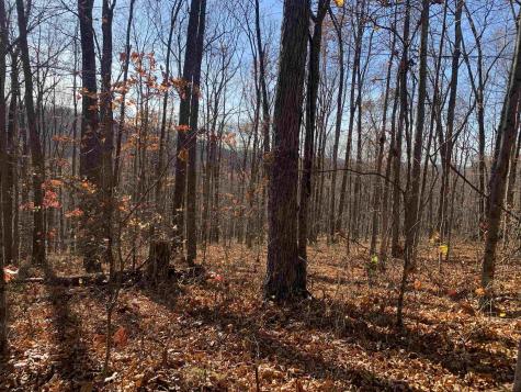 0 Narrows Road Philippi WV 26416