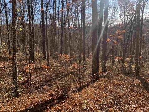 0 Narrows Road Philippi WV 26416