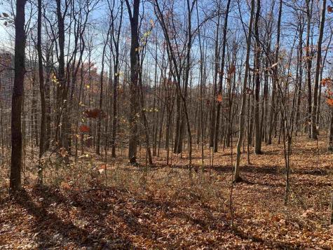 0 Narrows Road Philippi WV 26416