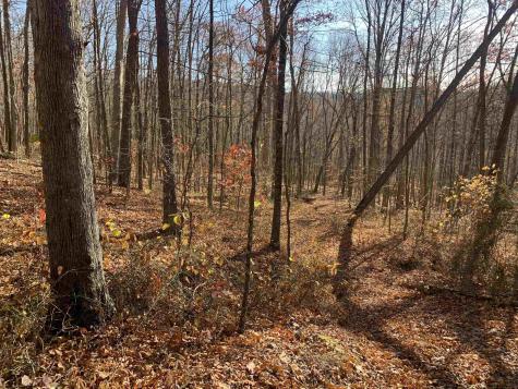 0 Narrows Road Philippi WV 26416