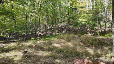 1 Shamrock Drive Mayesville WV 26833