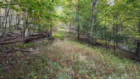 1 Shamrock Drive Mayesville WV 26833