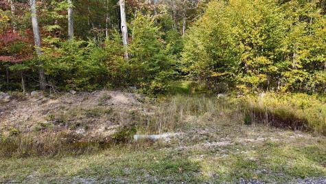 1 Shamrock Drive Mayesville WV 26833