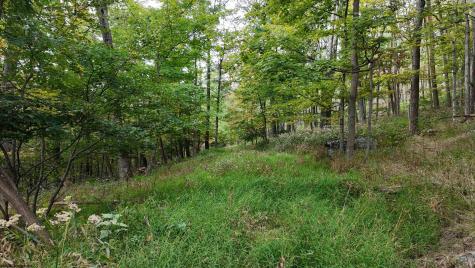 1 Shamrock Drive Mayesville WV 26833