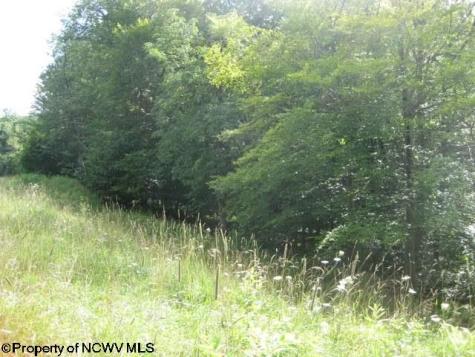 2 Northlake Development Drive Davis WV 26260