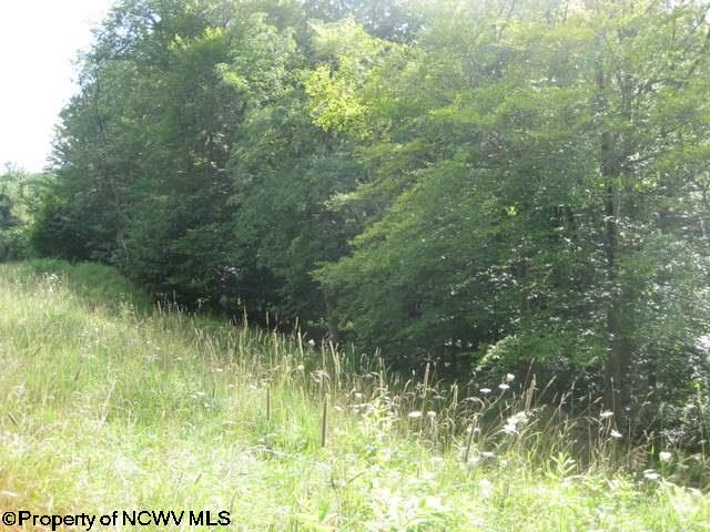 2 Northlake Development Drive Davis WV 26260