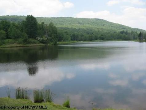 2 Northlake Development Drive Davis WV 26260