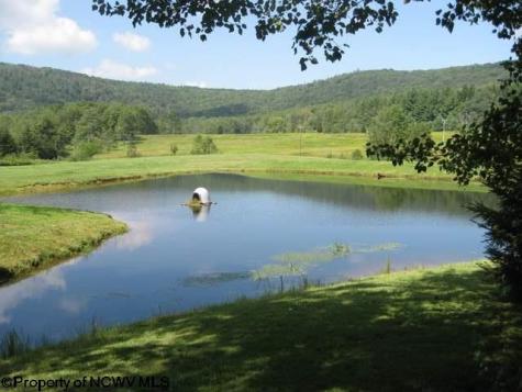 2 Northlake Development Drive Davis WV 26260