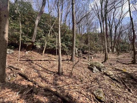 2000 Kingwood Pike Morgantown WV 26508