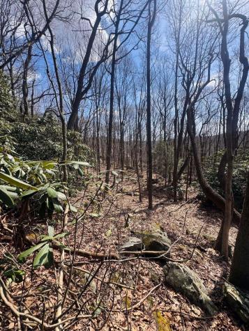 2000 Kingwood Pike Morgantown WV 26508