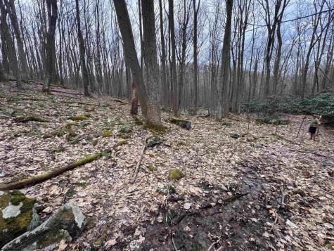 2000 Kingwood Pike Morgantown WV 26508