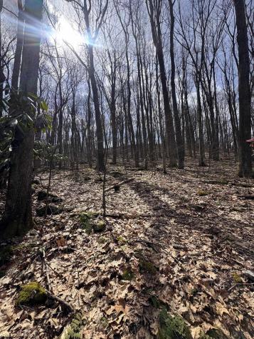 2000 Kingwood Pike Morgantown WV 26508