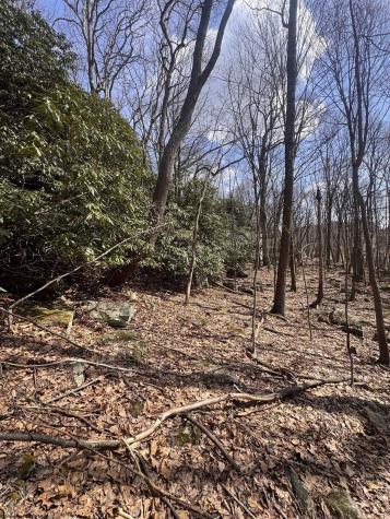 2000 Kingwood Pike Morgantown WV 26508
